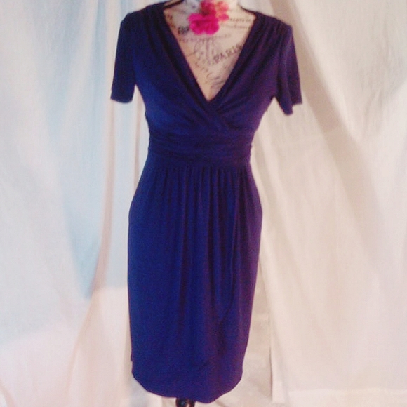 Evan Picone Dresses & Skirts - Nwot Evan picone purple dress 4 p